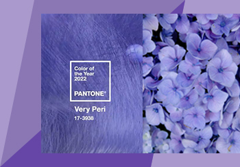 PANTONE（潘通）2022年度代表色--長(zhǎng)春花藍(lán)