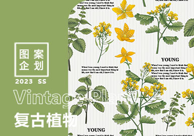 2023春夏家紡圖案企劃--復古植物（矢量）