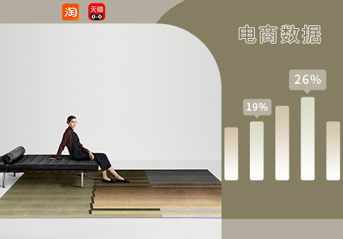 電商數(shù)據(jù)｜12月地毯&地墊熱賣數(shù)據(jù)分析