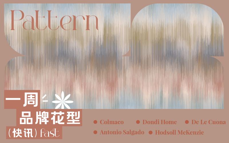 一周品牌花型快訊（矢量）