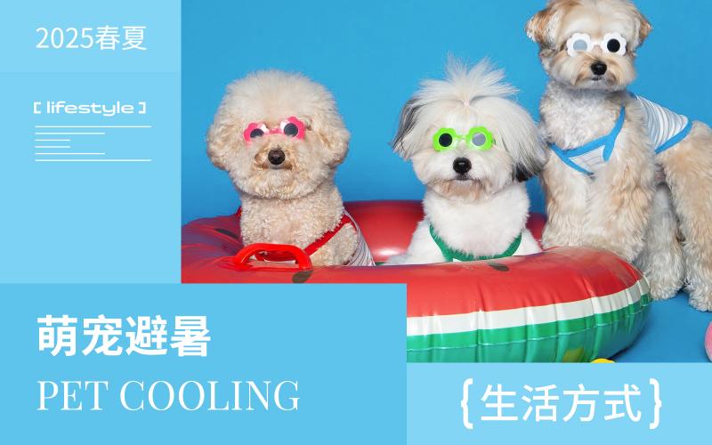 2025春夏生活方式趨勢預(yù)測--萌寵避暑