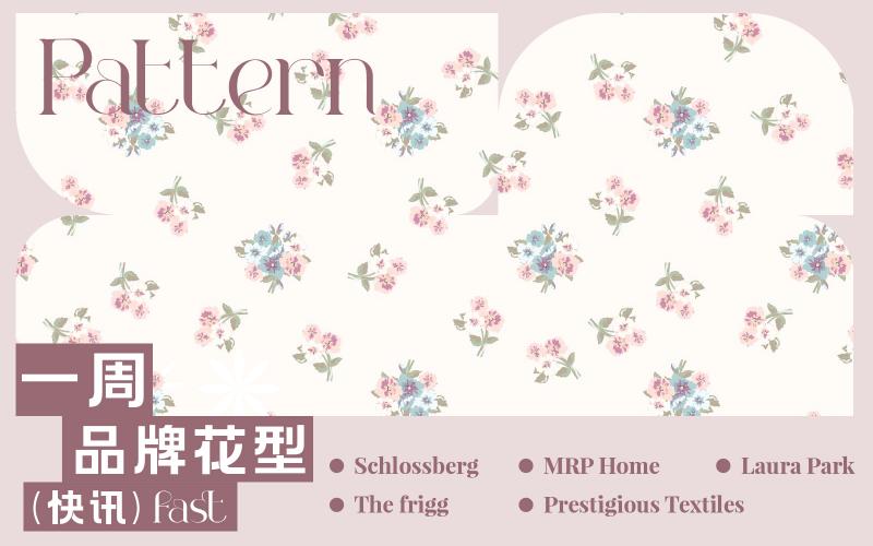 一周品牌花型快訊（矢量）