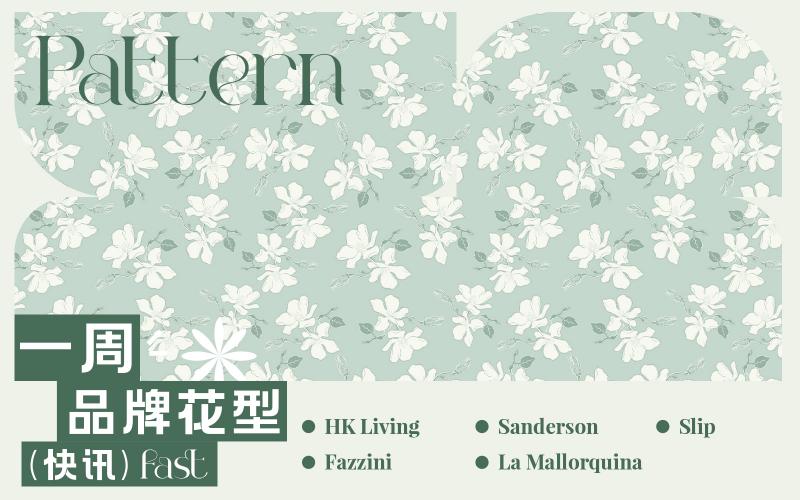 一周品牌花型快訊（矢量）