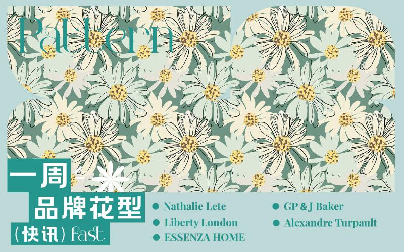 一周品牌花型快訊（矢量）