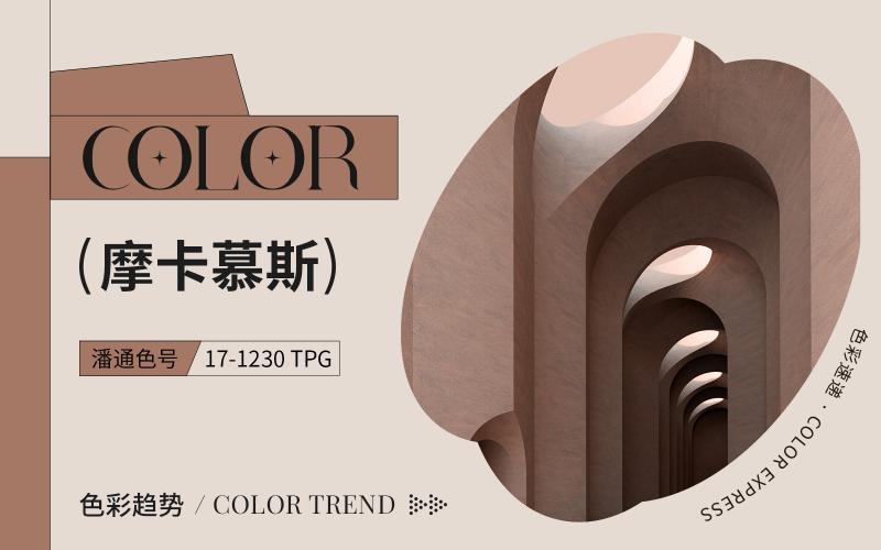 PANTONE（潘通）2025年度代表色 -- Mocha Mousse 摩卡慕斯