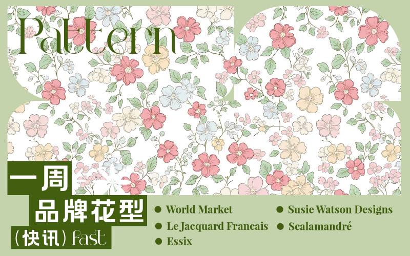 一周品牌花型快訊（矢量）