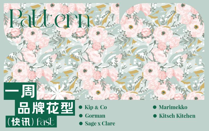 一周品牌花型快訊（矢量）