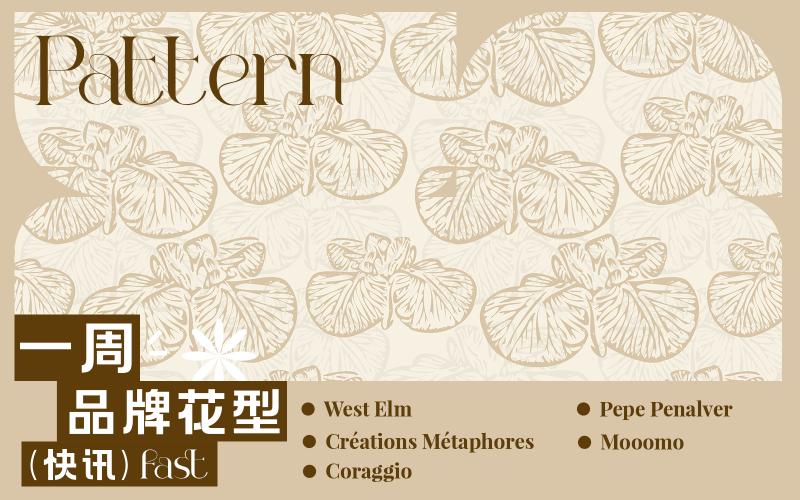 一周品牌花型快訊（矢量）