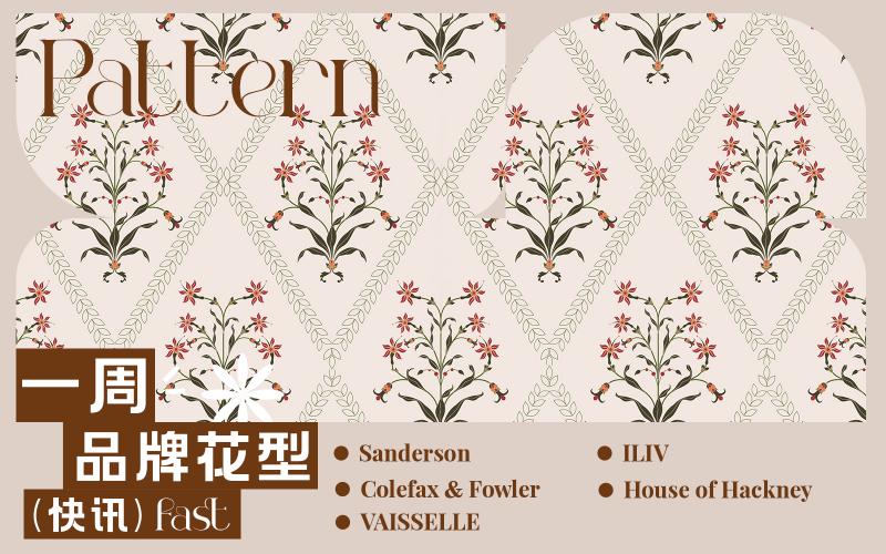 一周品牌花型快訊（矢量）