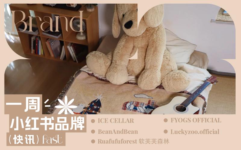 小紅書熱門品牌快訊