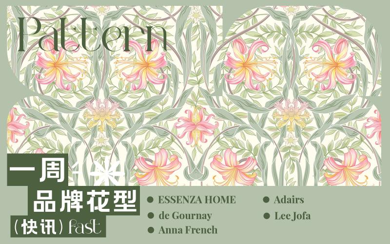 一周品牌花型快訊（矢量）