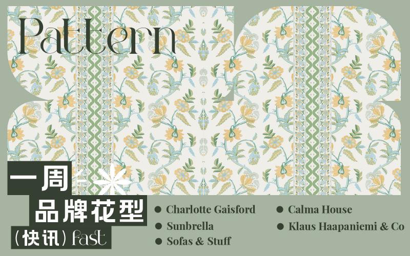 一周品牌花型快訊（矢量）