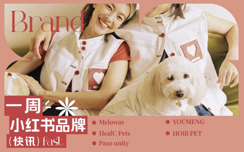 小紅書熱門品牌快訊