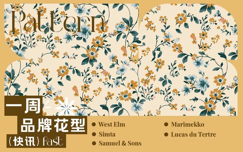 一周品牌花型快訊（矢量）