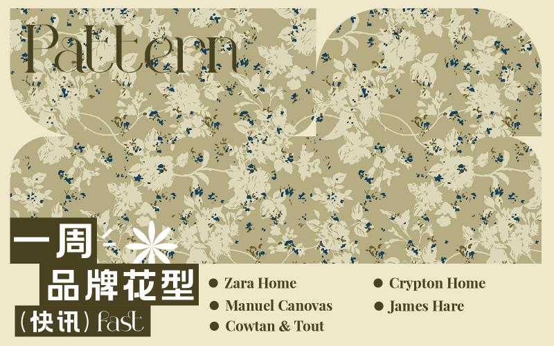 一周品牌花型快訊（矢量）