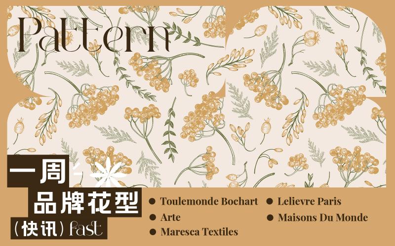 一周品牌花型快訊（矢量）