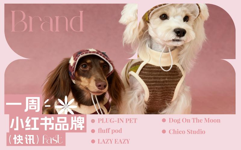 小紅書熱門品牌快訊