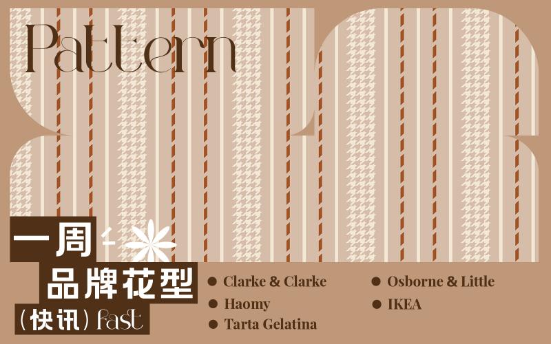 一周品牌花型快訊（矢量）