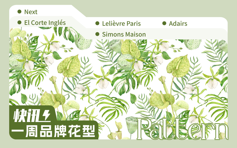 一周品牌花型快訊（矢量）