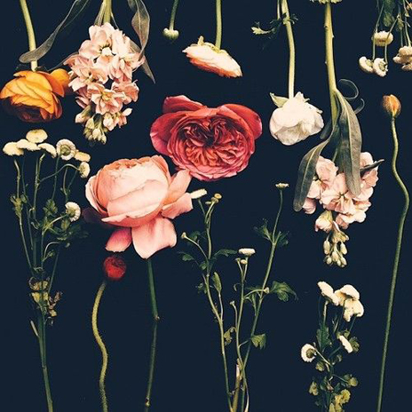 16年法蘭克福展會熱門元素&mdash;&mdash;玫瑰園